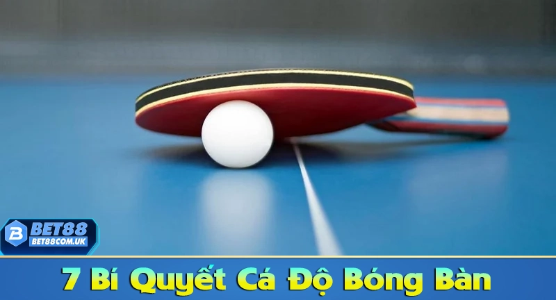 Top 7 Chiến Thuật Cá Cược Bóng Bàn Giúp Bạn Tăng Tỷ Lệ Thắng 7 Bí quyết cá độ bóng bàn hiệu quả nhất